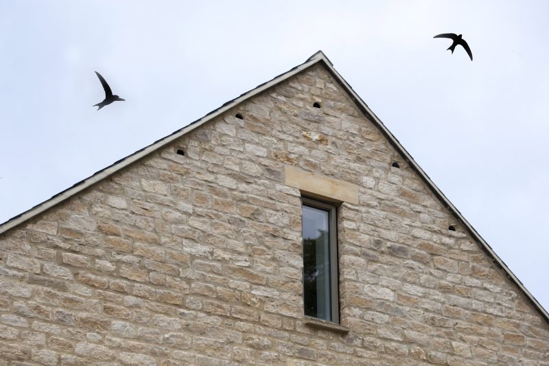 Swift Bricks in Stonework